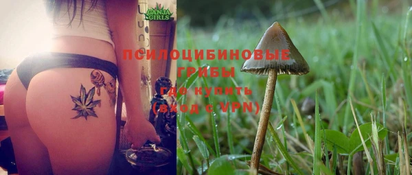 ГАЛЛЮЦИНОГЕННЫЕ ГРИБЫ Абинск