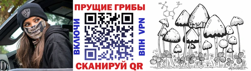 OMG ONION наркотики Звенигород Псилоцибиновые грибы MAGIC MUSHROOMS